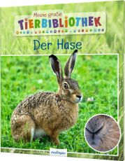 Meine große Tierbibliothek: Der Hase - Sachbuch für Vorschule & Grundschule