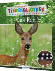 Meine große Tierbibliothek: Das Reh - Erstes Wissen für Vor- und Grundschule