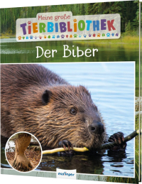 Meine große Tierbibliothek: Der Biber - Erstes Wissen für Vor- und Grundschule